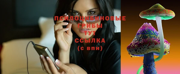 герыч Бородино