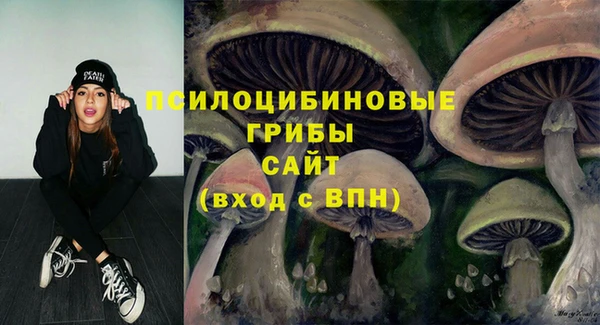 соль ск Волоколамск