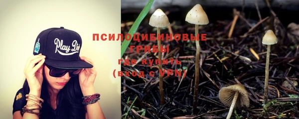 альфа пвп Бугульма