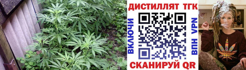 Дистиллят ТГК концентрат  где купить наркоту  Плёс 